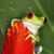 Debi Colee's profile image