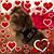 Andrea Stidham Atkinson's profile image