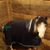 Brian Potance's profile image