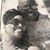 Trina Gonzales Van's profile image