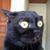Jim Sweetz's profile image