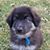 Brian D. Taylor's profile image