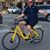 Ken Koop's profile image