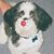 Mike Wilms's profile image