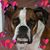 Lorie Schwiesow-Wharton's profile image