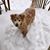 Sherlene Morgan's profile image