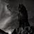 Greg Hansen's profile image