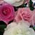 Jane Carr's profile image