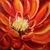 karen l.'s profile image