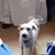 John Faulhaber's profile image