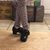 Laura McKelvey Wersinger's profile image