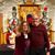 Donna Wrightson's profile image