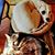 Tom Michalski's profile image
