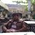 Marc Andre Steffen's profile image