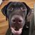 Marley Eugene Hadden's profile image