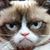 Richard Nechamkin's profile image