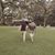 John Bounds's profile image