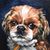 Matthildur Jonsdottir Kelley's profile image
