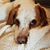 Catherine Salay Souder's profile image
