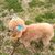 Mary J Holden's profile image