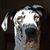 Marion Terry's profile image