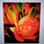 Peggy Driscoll's profile image