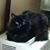 Betsy May Brown's profile image