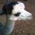 Cyndi Gilbert Leonard's profile image