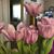 Julie Hulse's profile image