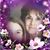 Carma Wilson's profile image