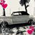 Pam Baumgardner's profile image