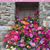 Judy Krause's profile image