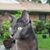Sherry Perry's profile image