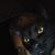 San Dee's profile image