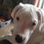 Paul J Daniels's profile image