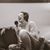 Stephanie Wickham Kissel's profile image