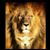 Marcos Jhown's profile image
