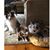 Beth Hagwood Bond's profile image
