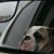 Melody Dennis's profile image