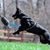 Nancy Thornsbury's profile image