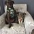 Joanne Occhipinti's profile image