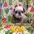 Patricia Saucier's profile image