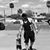 Tony Federici's profile image