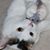 Julia Cameron Rvt's profile image