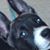 Anne Richards's profile image