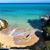 Carolyn Muriel Hart's profile image