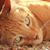 Heather Sundt's profile image