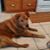 Mary Adkins-Harmony's profile image