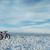 Grant Dellisse's profile image