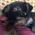 Peggy Owens's profile image